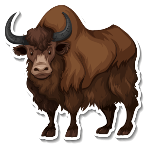 a bison